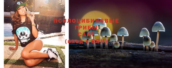 кристаллы Гусь-Хрустальный