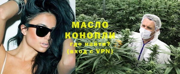 метадон Гусев