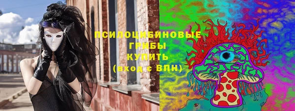 кристаллы Гусь-Хрустальный