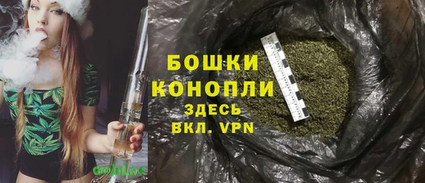 кристаллы Гусь-Хрустальный