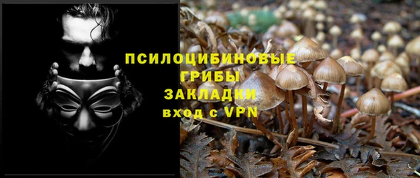 apvp Вязьма